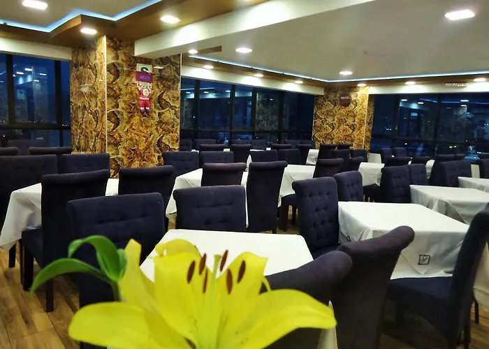 Hotel San Francisco 3*